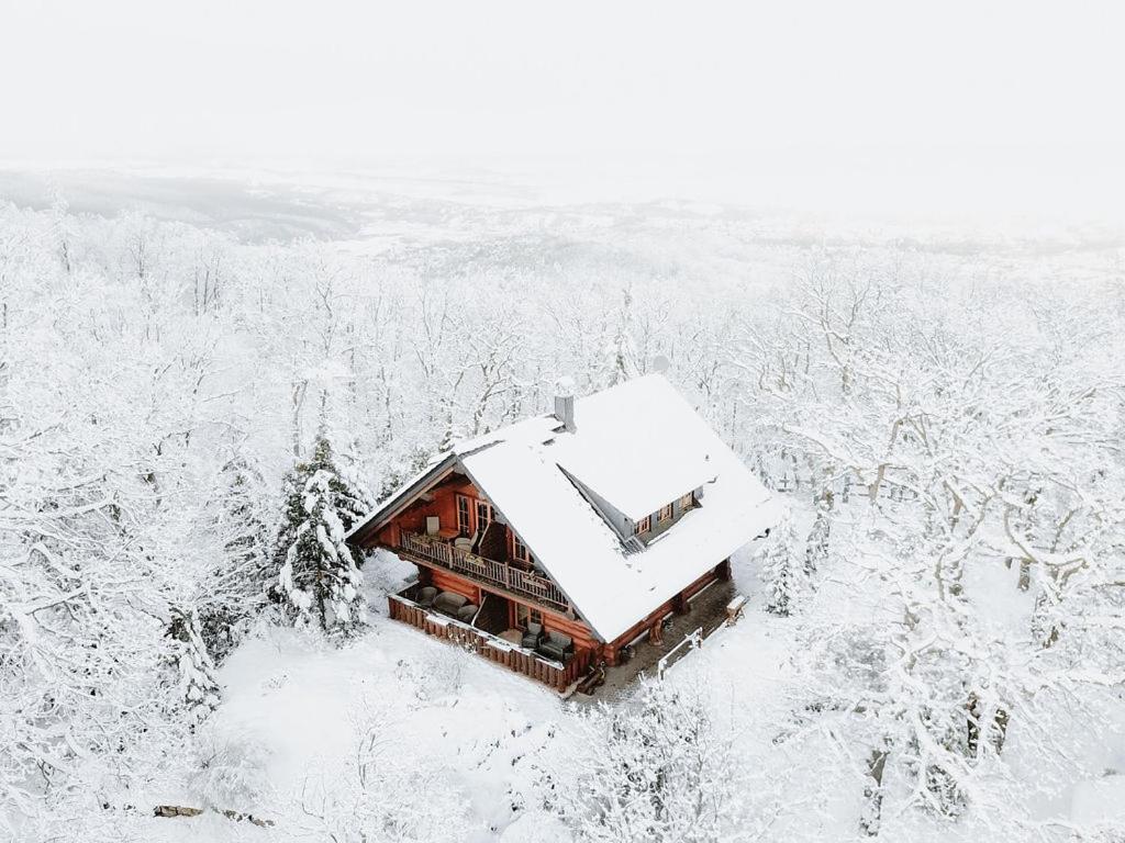 Naturtraum Georgshoehe Thale Exteriér fotografie