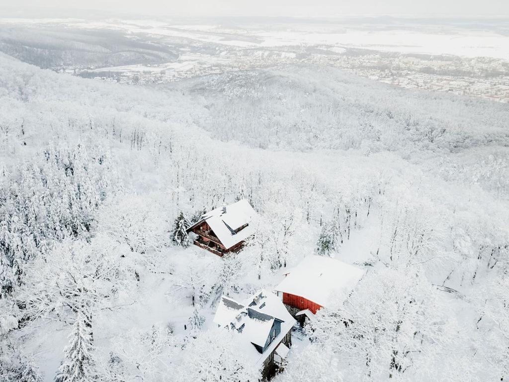 Naturtraum Georgshoehe Thale Exteriér fotografie