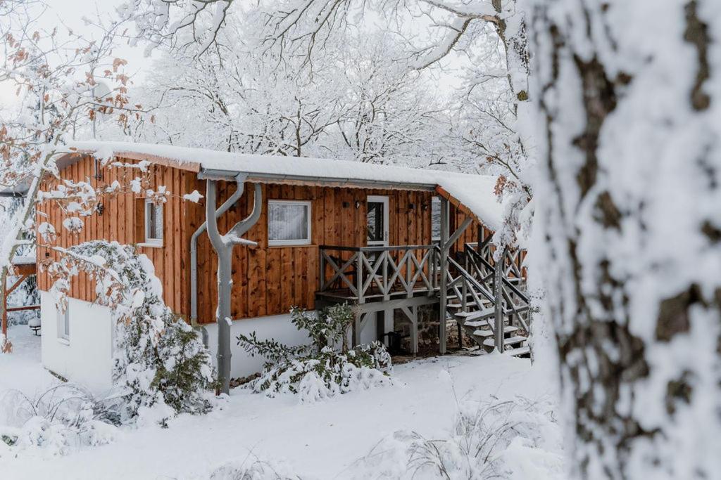 Naturtraum Georgshoehe Thale Exteriér fotografie