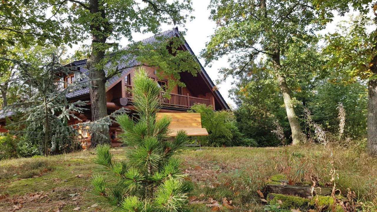 Naturtraum Georgshoehe Thale Exteriér fotografie